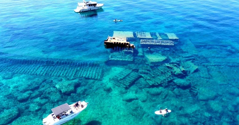 Snorkellers swimming above a sunken shipwreck near Mokalo on the Korcula snorkeling and shipwreck boat tour in Croatia